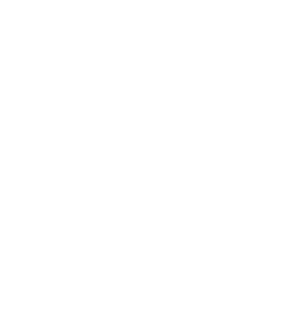 Selo Premium - R$ 8000,00 em até 12x - Brandfulness Experience