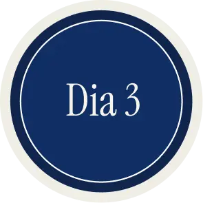 Selo circular azul-marinho "Dia 3"